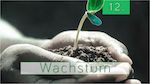 12.Bibelstudienmaterial - Wachstum
