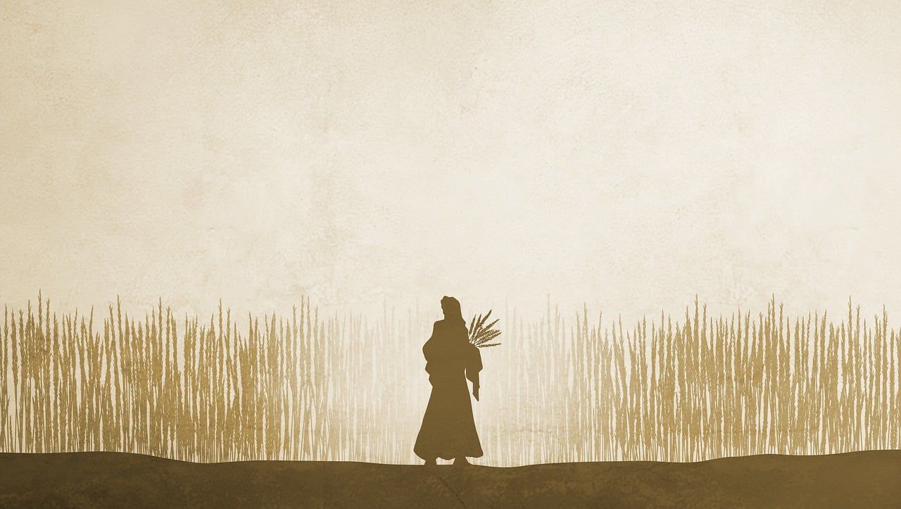 Das Buch Ruth – Strukturen und Inhalt entdecken